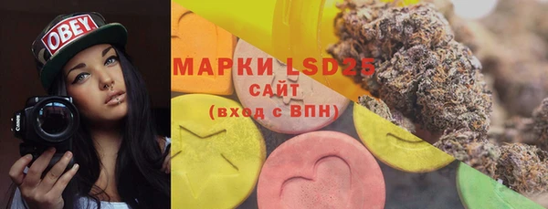 гидра Алексеевка