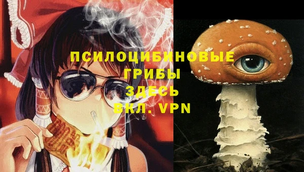 гидра Алексеевка