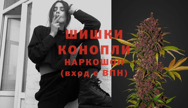 гидра Алексеевка
