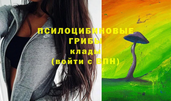 спиды Алзамай
