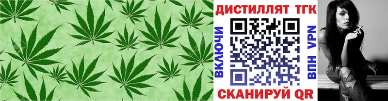 МЕГА ссылки  Микунь  Дистиллят ТГК гашишное масло  где купить  