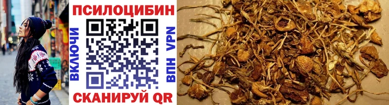 наркотики  Микунь  MEGA зеркало  Галлюциногенные грибы MAGIC MUSHROOMS 